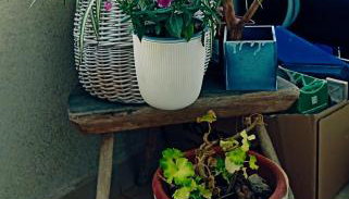 MarMi Split - Foto 5