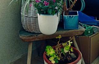 MarMi Split - Foto 5