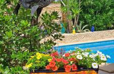 Lou Bagnou Mi-Clos - Foto 5