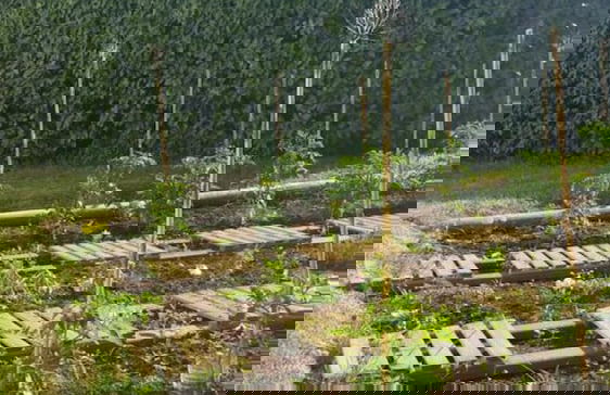 VVF Île de Ré Sainte-Marie-de-Ré - Foto 23