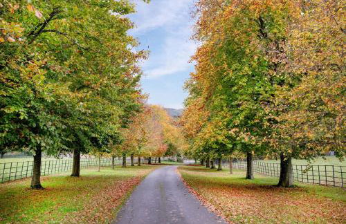 Jerards Stables - Foto 42