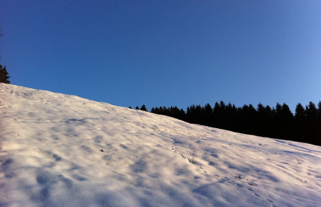 Charming Cottage With Jacuzzi Located Near Nature and ski Slopes - Photo 27