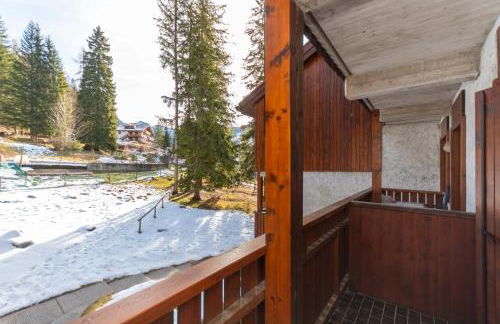 Petit Cirsio - Foto 29