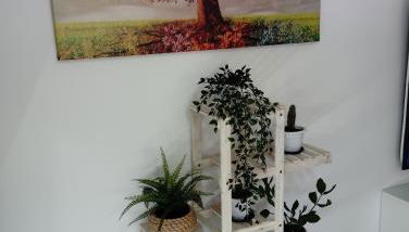 Apartamento Plaza Palmeras - Foto 1, Lobby or reception