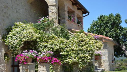 Bellavista - Foto 5, Garden view