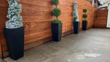 Moonlit Serenity - Foto 2