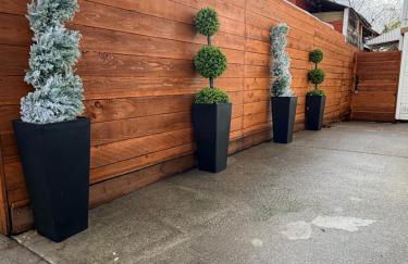 Moonlit Serenity - Foto 2