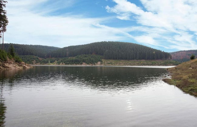 Sunlit Retreat With Garden - Foto 21