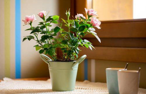 Residence Panorama - Foto 61