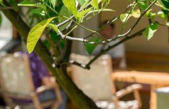 Valashouse - Foto 77