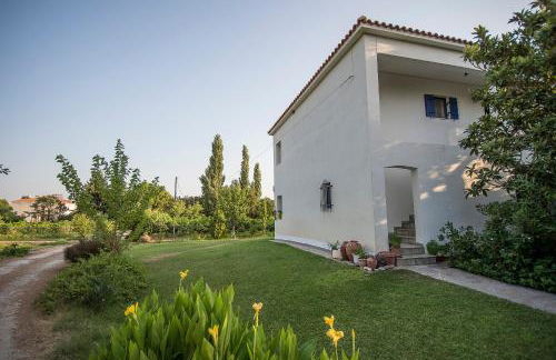 Eressos Ilios Apartments - Photo 8