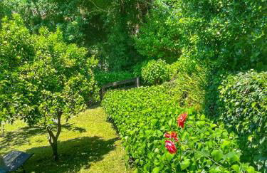 Quinta da Recochina - Foto 30