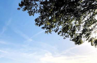 Maison de charme nichée dans le bois pour vivre une expérience unique - Foto 28