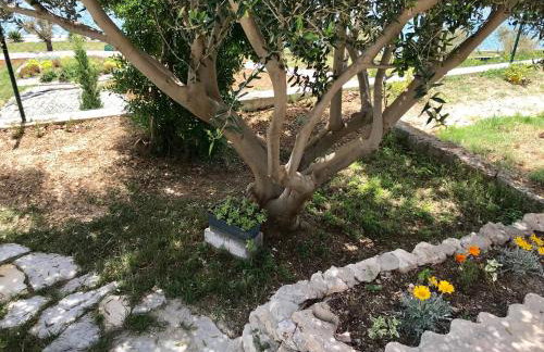 Summer House Hacienda, Pag - Miškovići - Foto 34