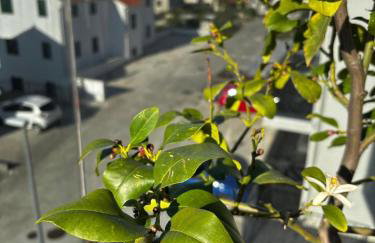 Apartment Pearl of Postira - Foto 25