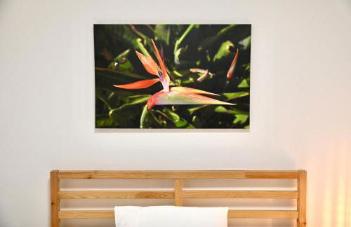 Casa Lusíadas - Foto 14