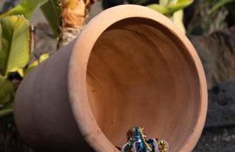 Casa Keo, Playa Blanca - Foto 72