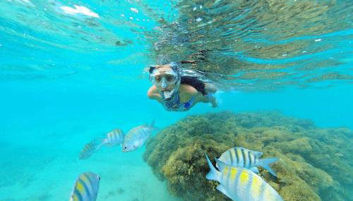 Apê 2: Pé na Areia Maragogi - O Caribe Brasileiro - Foto 4