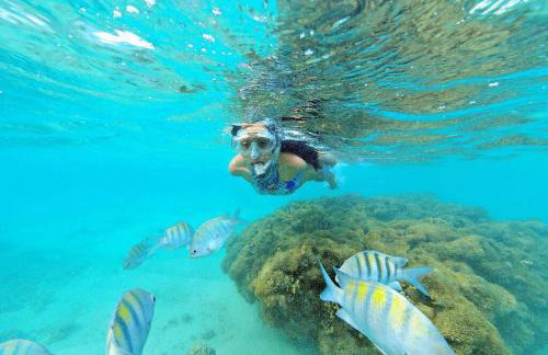 Apê 2: Pé na Areia Maragogi - O Caribe Brasileiro - Foto 4