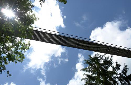 Ferienhaus Völkle - Foto 8