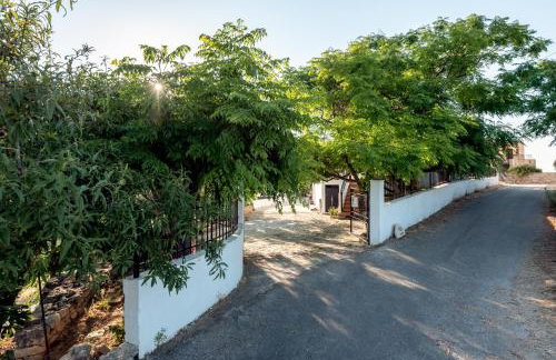 ApteraMare Tradidtional house 'New listing' - Foto 39