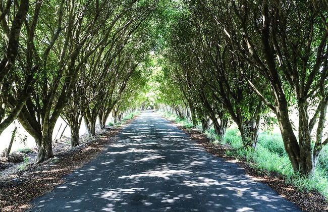 Hotel Fazenda Pé da Serra - Photo 25