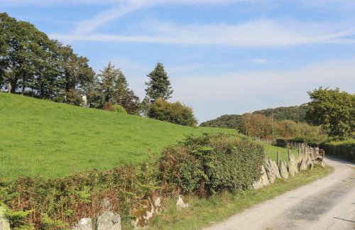 Maes Madog - Foto 50