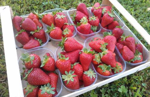 Agriturismo Tenuta Valletti. - Foto 57