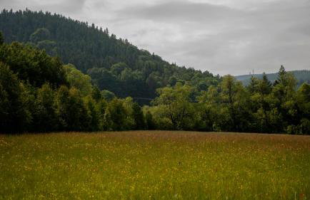 'chata usÓwek' - Foto 9