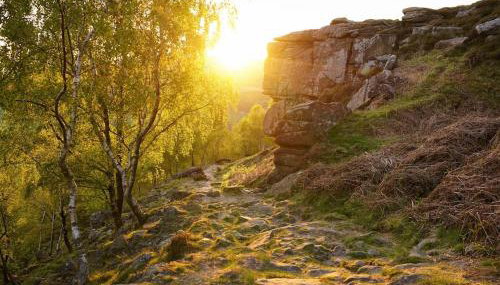 Stunningly stylish cottage. - Foto 5