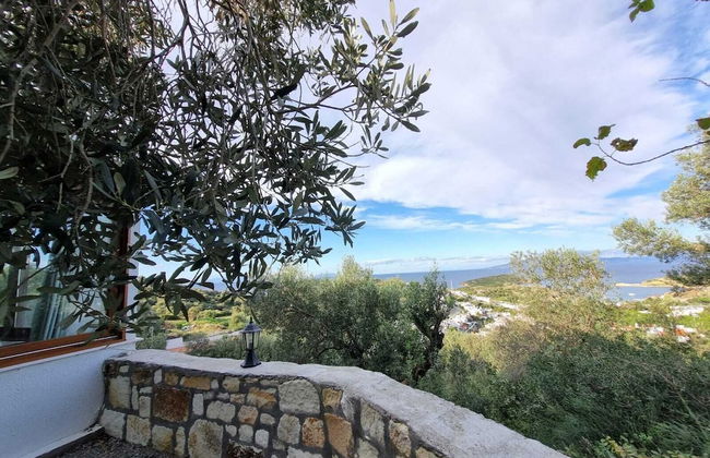 Sole Foca ( Ages 12+ ) - Foto 50