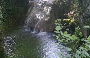 Casa di Campagna Il Granaio - Foto 13