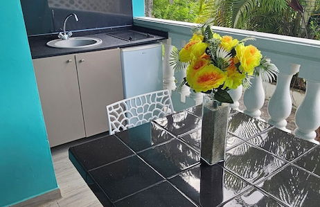 Aparthotel in Le Diamant with swimming pool and garden - Photo 3