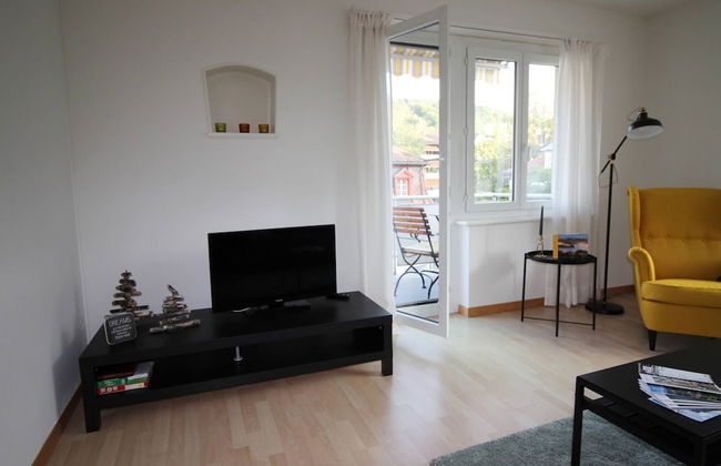 Casa Schilling- 2,5 Rooms With Balcony Near Hospital, University - Foto 9