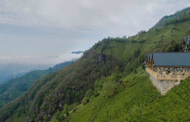 View Suit Bungalov - Foto 18