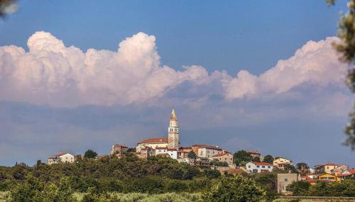 Apartman Aja - Foto 4