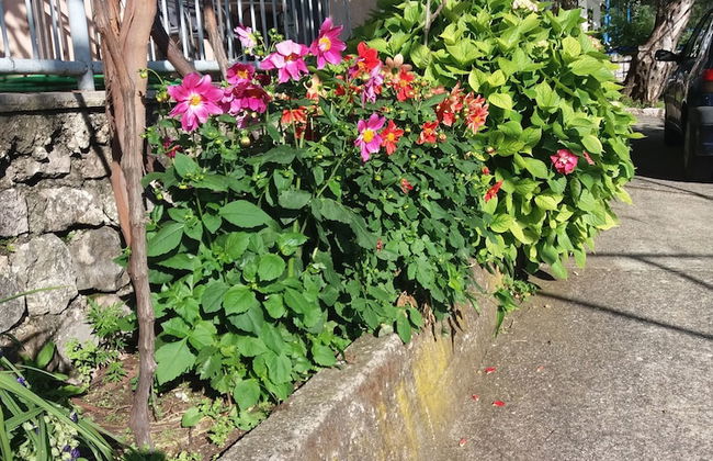 Apartmani Mitrovic Podlicak - Foto 38