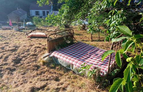 Maison à l'ancienne avec grand terrain , animaux bienvenus - Foto 71