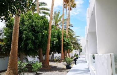 Estrella de Mar - Photo 32