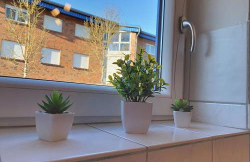 Beautiful Spacious Apartments near Hamburg - Foto 35