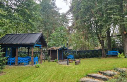 Niezapominajka - Foto 50