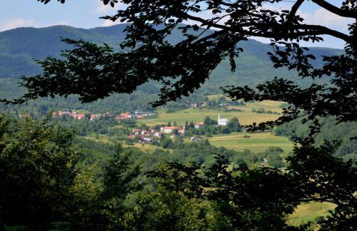 Kuća za odmor Sichelberg - Foto 3