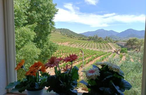 Monte Astili - Foto 29