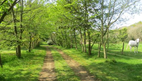 Les crèches de Boiséon - Photo 3, Garden