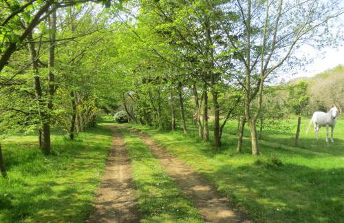 Les crèches de Boiséon - Foto 3