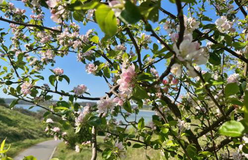 Schlösschen am Schmachter See - Foto 33