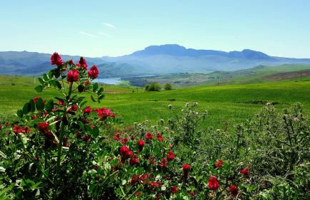 Masseria Rossella - Foto 62