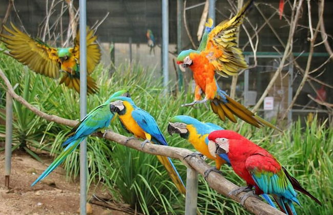 The Ridge at Maleny - Photo 45