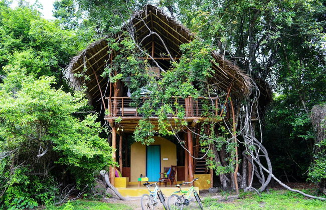 Back of Beyond - Dehigaha Ela - Photo 41