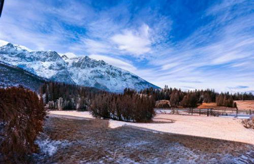 Fiore del Brenta 2 a 50 m dalla fermata dello skibus gratuito - Foto 7